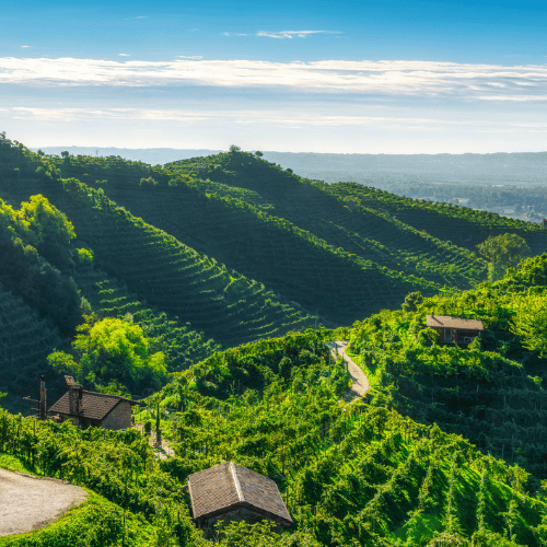 Colline Del Prosecco